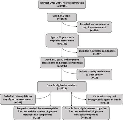 Individual and Combined Associations of Glucose Metabolic Components With Cognitive Function Modified by Obesity